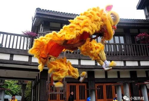 舞狮少年技能爆料视频完整版,精彩绝伦的舞狮技艺全解析